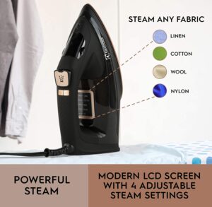 Electrolux Professional Steam Iron for Clothes