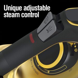 adjustable steam control